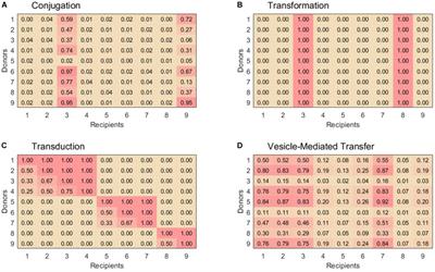 Modeling Multispecies Gene Flow Dynamics Reveals the Unique Roles of Different Horizontal Gene Transfer Mechanisms